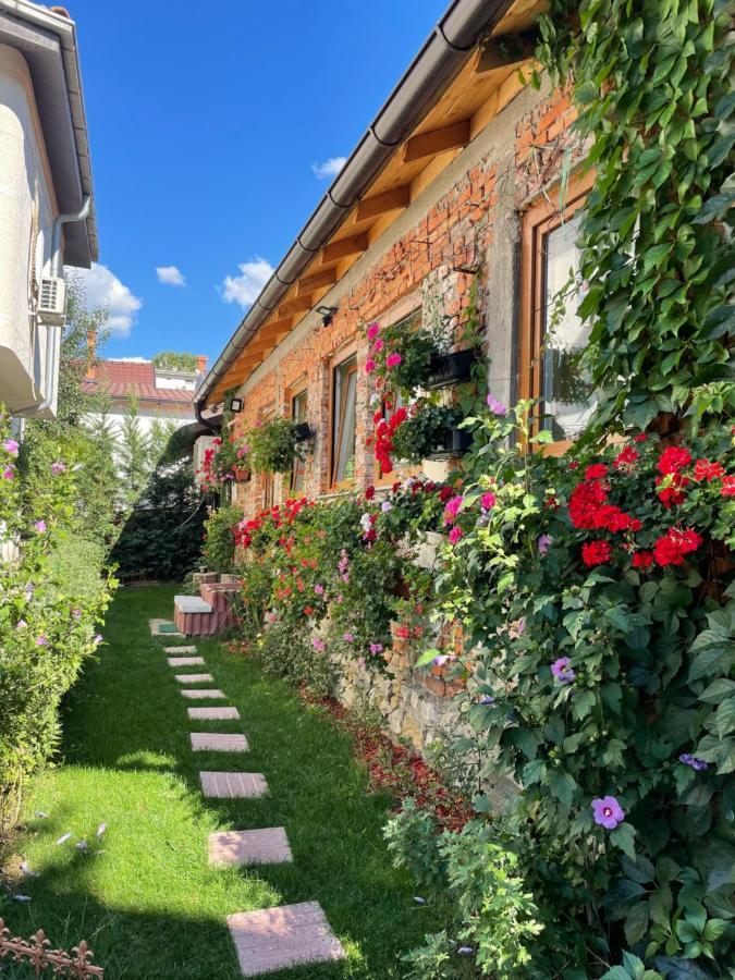 Flower House In The City Center! Pristina Eksteriør bilde