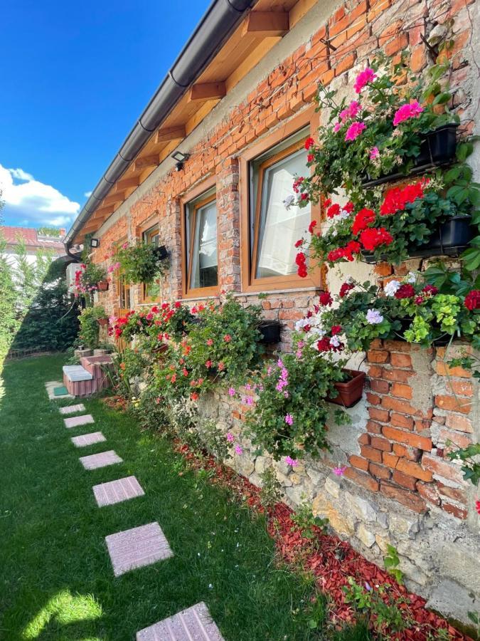 Flower House In The City Center! Pristina Eksteriør bilde