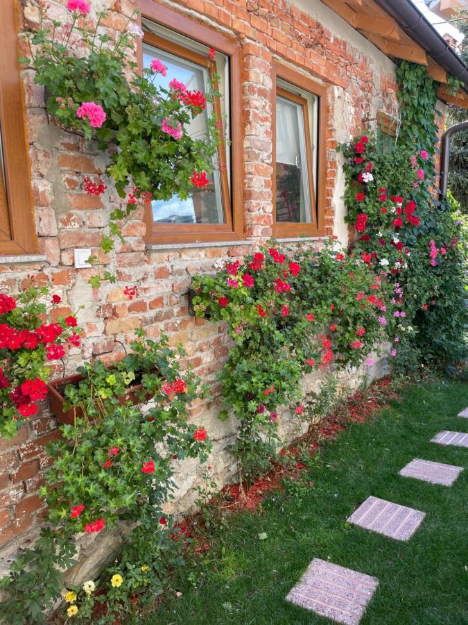 Flower House In The City Center! Pristina Eksteriør bilde